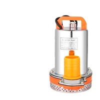 Pompe à eau solaire H DC 2 pouces 12V/24V/36V/48V/60V/72V à haute pression et grand débit en cuivre et aluminium pour l'irrigation