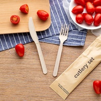 Vente en gros OEM 7 "CPLA Couverts jetables compostables Couverts Cpla Biodégradable Couverts Set