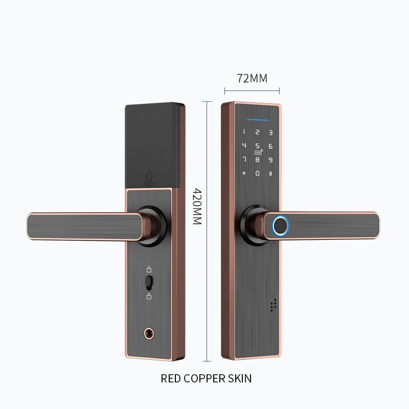Smart Tuya Aluminum Alloy Door Lock with Digital Fingerprint Password Card Key APP Unlock for Home Security · image 2
