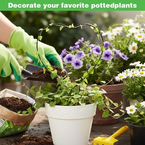 Soporte <span class=keywords><strong>de</strong></span> Plantas en Forma <span class=keywords><strong>de</strong></span> Corazón para Interiores, Poste <span class=keywords><strong>de</strong></span> Soporte para Plantas Verdes, Adecuado para Plantas en Maceta <span class=keywords><strong>de</strong></span> Jardín, <span class=keywords><strong>Hoya</strong></span>, Pothos y Varias Flores - Product Image 5