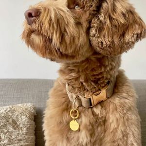 Collar de Metal Personalizado con Nombre y Logotipo Grabado para Mascotas, Perros, Gatos, Cachorros y Caballos, Venta al Por Mayor - Product Image 2