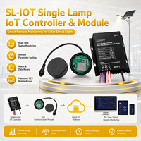 Contrôleur IoT pour lampe unique Sukite SL-4G avec 4G CAT-1 intégré pour la surveillance et le contrôle à distance des lampadaires solaires