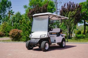 Carrito de Golf Eléctrico de 3-4 Plazas, Techo Blanco, Ruedas Negras, Totalmente Impermeable, Alcance de 30 km, 30-50 km/h, Uso Turístico en Carretera - Product Image 3