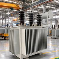 Transformateur immergé dans l'huile de type conservateur 33 kV triphasé pour la distribution d'énergie - Fabricant