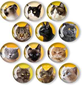 12 Pcs Eco-friendly Modern Glass Fridge Magnetic Stickers Cute Cat Design Kitchen Office <b>Whiteboard</b> Cabinet Dishwasher - Product Image 6