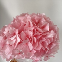 LUYI - Hoogwaardige grote hortensia's met grote bladeren, gedroogd, babyroze, paars, wit, groen, grote blauwe hortensia bloemen, geconserveerd