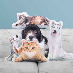 หมอนอนิเมะพิมพ์ลายตามสั่งจากโรงงานโดยตรง ปลอกหมอนรูปทรงพิเศษลายการ์ตูนใบไม้และพืช สำหรับใช้ในบ้านหรือโรงแรม - Product Image 5