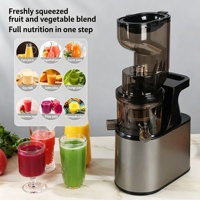 Extracteur de jus commercial électrique multifonctionnel pour la maison, machine à jus lent avec lame, pour canne à sucre