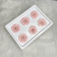 Bunga Kering Alami Terpopuler Gerbera Daisy Sunflower Krisan Kepala Bunga Terawetkan Hari Valentine Wisuda