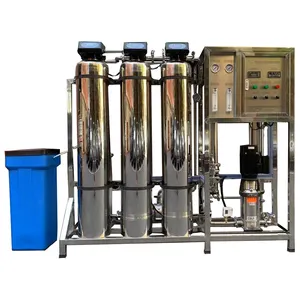 Edelstahl 304 automatisches Ventil alkalischer Wasserfilter 500LPH industrieller Wasser auf bereiter Mineral wasser produktion