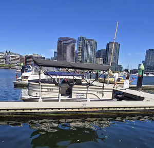 Bote Pontón de Lujo en Venta Caliente, Personalizado, de Aleación de Aluminio 5052, con 2 Tubos, Tanque de Combustible de 115 HP, Luces y Música, Embarcación Recreativa - Product Image 3