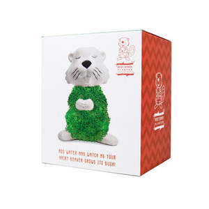 Poilu <span class=keywords><strong>castor</strong></span> Chia planteur Kit de culture Chia animaux de compagnie pour enfants animaux classique lama Chia animal de compagnie maison bureau plante décor cadeau - Product Image 1