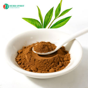 Estratto di Tè Verde Herbspirit, Polvere di Estratto di Tè Verde Solubile, Polvere di Estratto di Tè Verde Biologico Istantaneo - Product Image 1