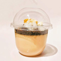 Plastieken puddingbekertjes met deksel, wegwerp PET dessertkommen voor yoghurt, fruit, cake, afhaalmaaltijden