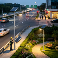 Lampadaire solaire DC SMD à bas prix, étanche IP65, en aluminium, avec détecteur de mouvement, contrôle par application/télécommande, pour autoroute, orientable à 120°