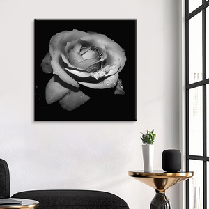 Fiori di rosa bianca decorazione floreale <span class=keywords><strong>arte</strong></span> della parete della tela stampa originale decorazione unica <span class=keywords><strong>fotografia</strong></span> in bianco <span class=keywords><strong>e</strong></span> nero - Product Image 3