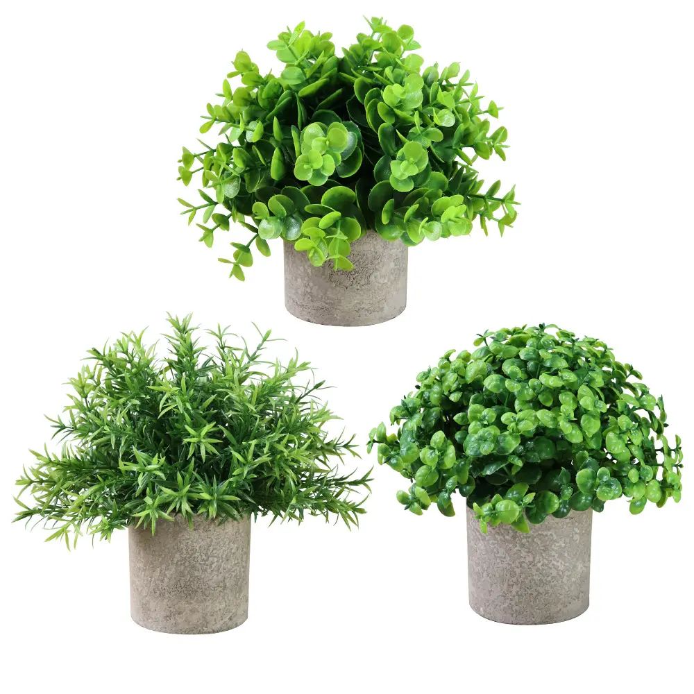 Amazon Combination Sale Bonsai Pflanzen Amazon Bonsai Künstliche Topfpflanzen Round Pulp Mini Bonsai