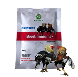 Ayam Jantan Booster fighting vitamin ayam dan bubuk suplemen kemasan Logo khusus