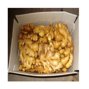 2025 tươi gừng giá rẻ giá hăng và ngon Trung Quốc Nhà cung cấp chất lượng cao gừng giá bán buôn - Product Image 4