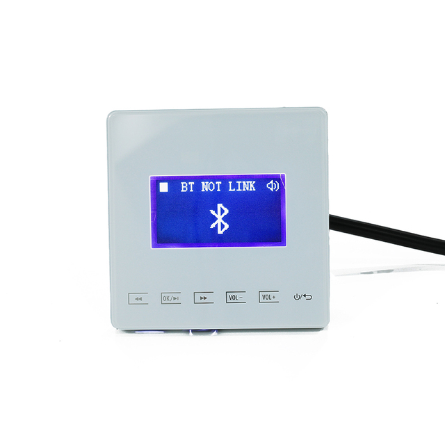 Wholesale Factory Price Wi-Fi and BT Wall Mount Amplifier for Music Media Player