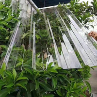 Plaques de Polycarbonate Transparentes de 1,5 mm pour Toiture, Isolation Thermique, Prix de Gros