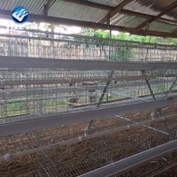 9 cages à poulet tricotées en PVC, 6x3 niveaux, cages à résistance nouveau-né, accroche à piles pour l'afrique du sud