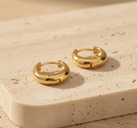 Créoles minimalistes en or, argent et acier inoxydable, bijoux de tous les jours pour femmes
