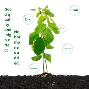 Compost de Soja para Aumentar el Rendimiento de Cultivos de Legumbres, Resistente a la Sequía y a las Inundaciones, Rico en Aminoácidos - Product Image 5