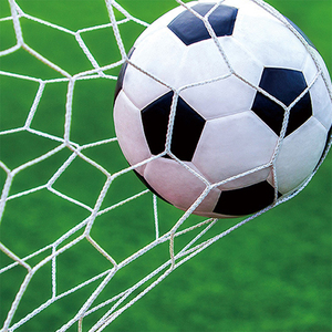 Fußball-Fußball-Torpfosten in voller Größe mit Netz platz ausrüstung - Product Image 3
