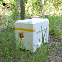 Queen Bee Styrofoam Nuc Boxes Mini Beehive pour Queen Bee Breeding Condition Nouveau