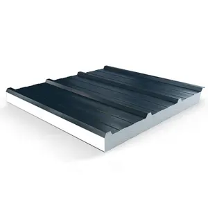 Eco-friendly Energy Saving Lightweight EPS Sandwich Roof Clean Room Wall Panels