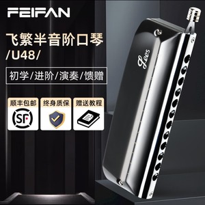 Armónica Cromática Feifan U48 de 48 Notas y 12 Orificios, Instrumento Musical para Principiantes y Avanzados con Caja de Regalo - Product Image 1