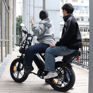 Bicicleta Eléctrica Plegable VOMO X80Pro con Estante Delantero, Neumáticos Anchos, 7 Velocidades, 48V 250W, 25km/h, para Ciudad (UE) - Product Image 5