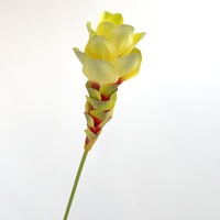 Batang Tulip Siam Kuning Nordik dengan Alas Merah, Bunga Sutra Imitasi untuk Perlengkapan Fotografi, Dekorasi Jendela Toko Studio