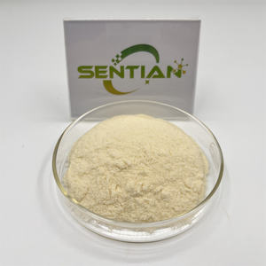 Bubuk Rasa Jeruk Alami Berkualitas Tinggi Bubuk Jus Jeruk Manis Bubuk Jeruk - Product Image 4