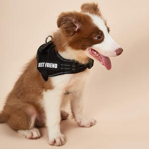 犬用ハーネスベスト直接工場カスタムロゴカラー反射ナイロンヘビーデューティーペットハーネス - Product Image 2