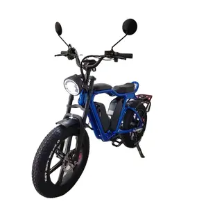 1000W Fat Tire Electric Bike Oil Brake Full Suspension 48V22Ah*2 Dual Battery Electric Bike Fast Fat Tire Electric Bike