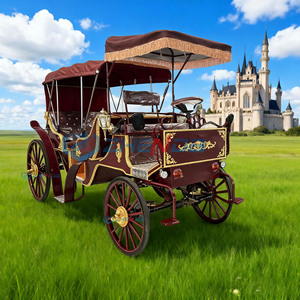 Double-row Electric Carriage Luxury Sightseeing Carriage Wedding Pumpkin Carriage - Product Image 2