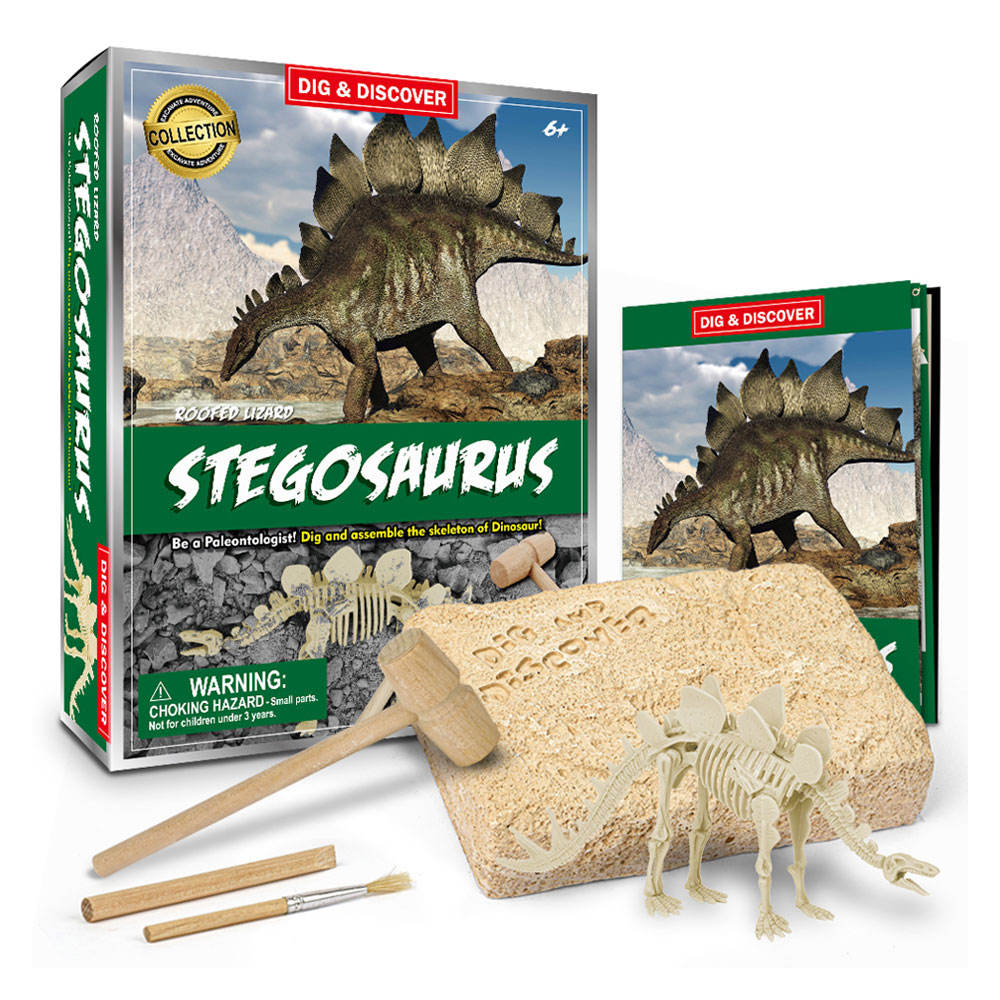 Kits de Dig Stegosaurus