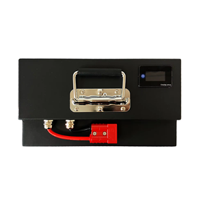 Système d'alimentation Lifepo4 batterie Rechargeable 24V 50AH 60AH 100AH 150AH 200AH moto électrique Tricycle Batteries batterie au Lithium - Product Image 5