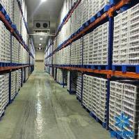 Contenedor Refrigerado de 20 y 40 Pies para Frutas y Verduras con Compresores Automáticos Copeland Emerson, Solución Integral de Construcción