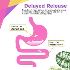 Probiotica voor volwassen vrouwen, vaginale gezondheid, kruidensupplement capsules met lactobacillussen, natuurlijk - Product Image 2