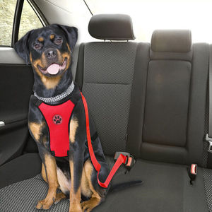 Arnés de Seguridad Simple y Portátil de Malla Transpirable para Perros en el Auto - Product Image 2