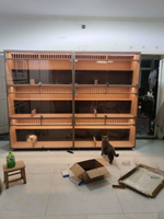 Mobilier pour chat multifonctionnel de luxe en bois massif, moderne, sur mesure, gain de place, avec roulettes, pour l'élevage et l'exposition en intérieur