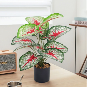 <span class=keywords><strong>Caladium</strong></span> พืชสีเขียวเทียมที่มีหัวใจสีแดงและเส้นเลือดสีขาว-สีเขียวสไตล์นอร์ดิกสำหรับหน้าต่างแสดงภูมิทัศน์ - Product Image 2