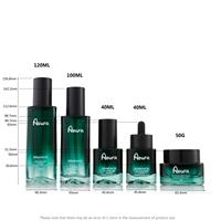 Ensemble de flacons carrés pour soins de la peau 120ml 100ml 40ml 50g Vaporisateur cosmétique Pompe en verre Bouchon à vis compte-gouttes Flacon pour crème pour le visage Lotion