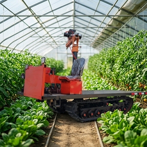 Plateforme de transport robotisée <span class=keywords><strong>à</strong></span> chenilles en caoutchouc multi-usages avec télécommande <span class=keywords><strong>à</strong></span> <span class=keywords><strong>vendre</strong></span> - Product Image 1