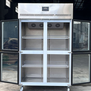 Réfrigérateur-<span class=keywords><strong>congélateur</strong></span> commercial vertical à <span class=keywords><strong>double</strong></span> <span class=keywords><strong>porte</strong></span> vitrée, avec compresseur et vitrine réfrigérée, idéal pour les climats froids - Product Image 3