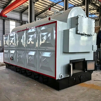 Fabrieksdirecte levering 2 ton/uur DZH biomassa stoomketel lange levensduur CE gecertificeerd efficiënt voor drankenverwerkingsbedrijven