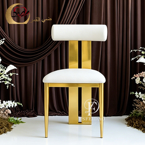 Sillas de Novia de Acero Inoxidable Estilo Australiano para Uso en Exteriores, Sala de Estar y Apartamentos - Product Image 1